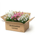 Gevelpakket Lievens | 3-planten pakket
