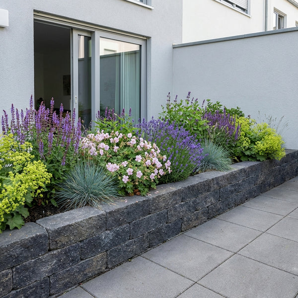 Borderpakket Corbijn