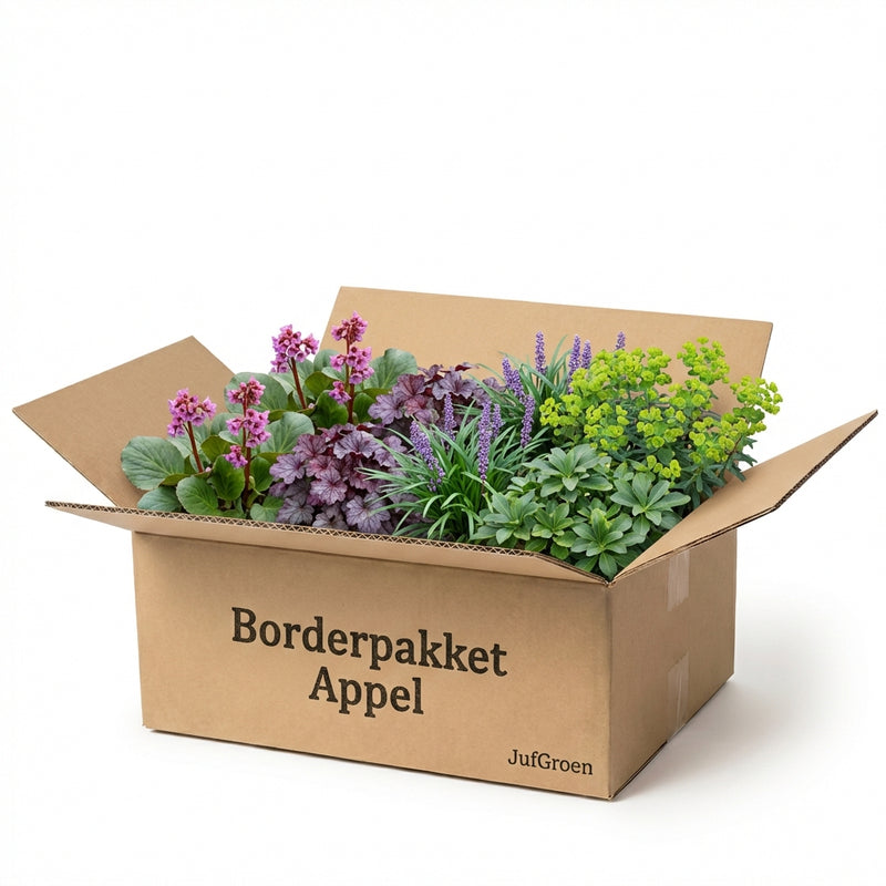 Borderpakket Appel