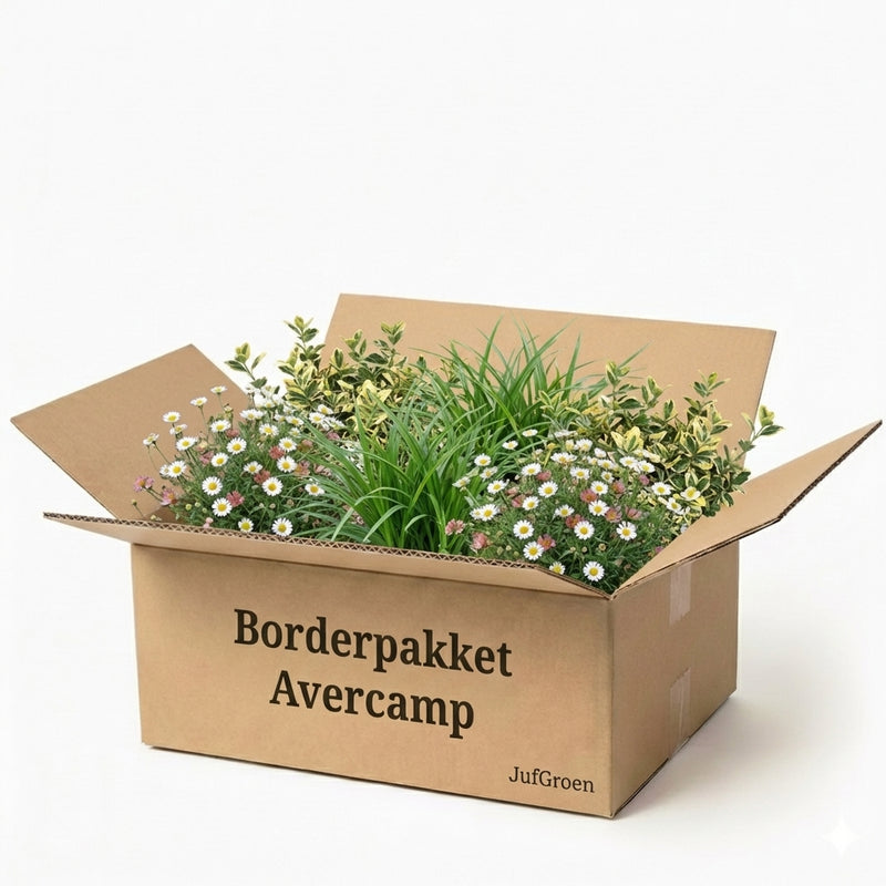 Balkonpakket Avercamp