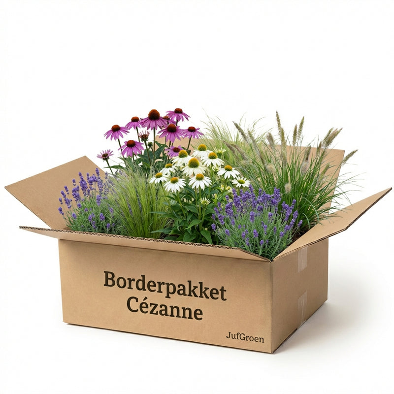 Borderpakket Cézanne