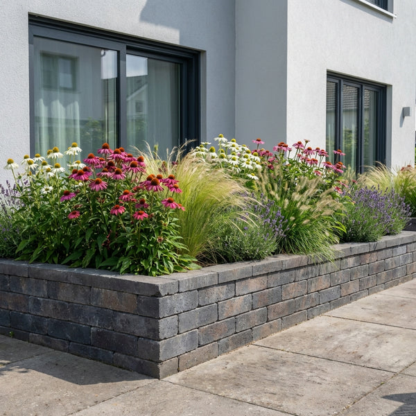 Borderpakket Cézanne