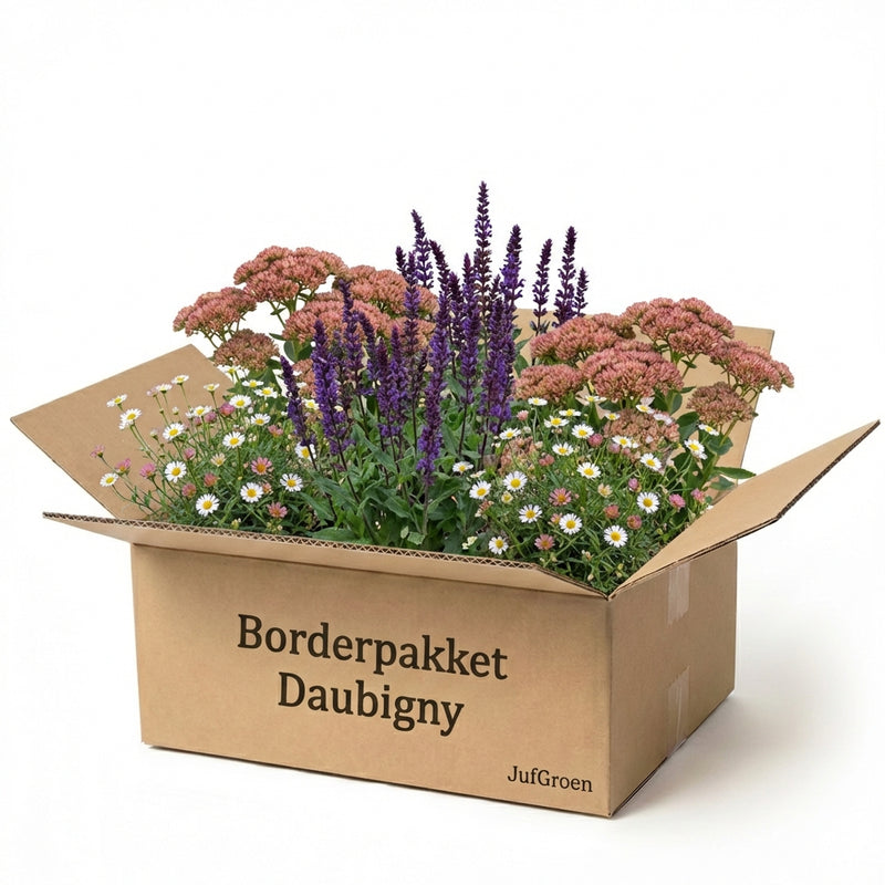 Balkonpakket Daubigny