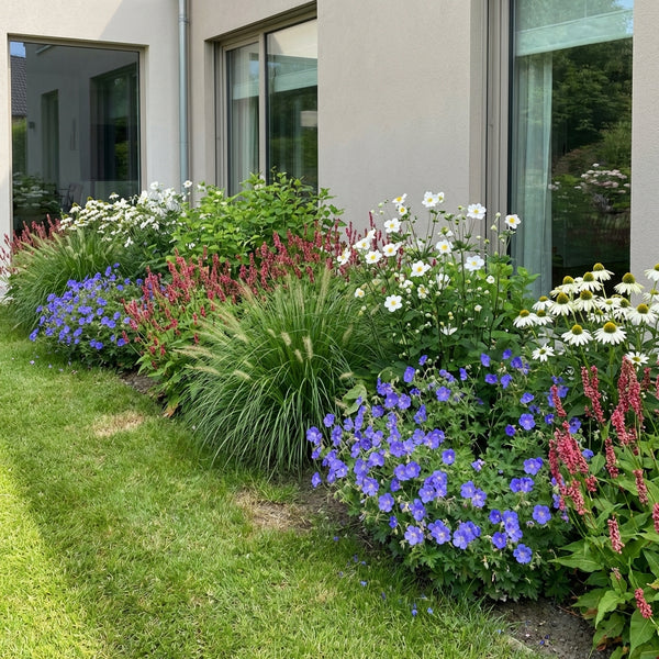 Borderpakket De Ruyter