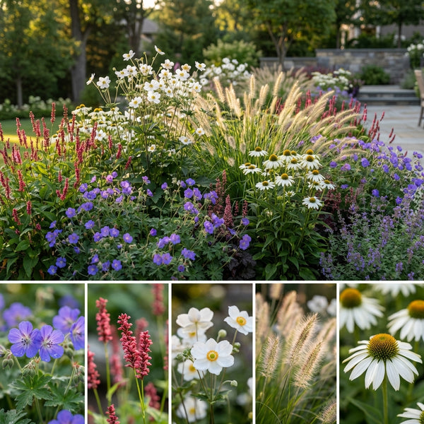 Borderpakket De Ruyter