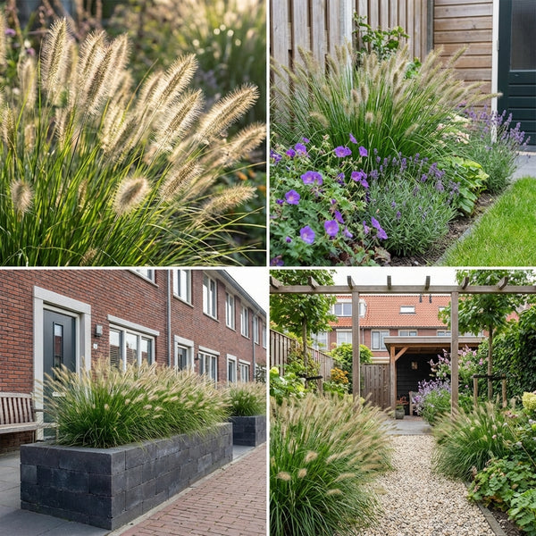 Borderpakket De Ruyter