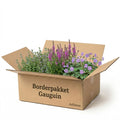 Gevelpakket Gauguin | 3-planten pakket