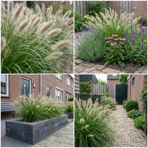 Borderpakket Huisman