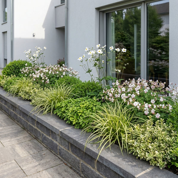 Borderpakket Israels