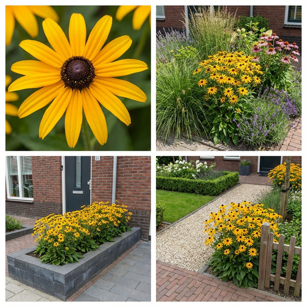 Borderpakket Poortvliet