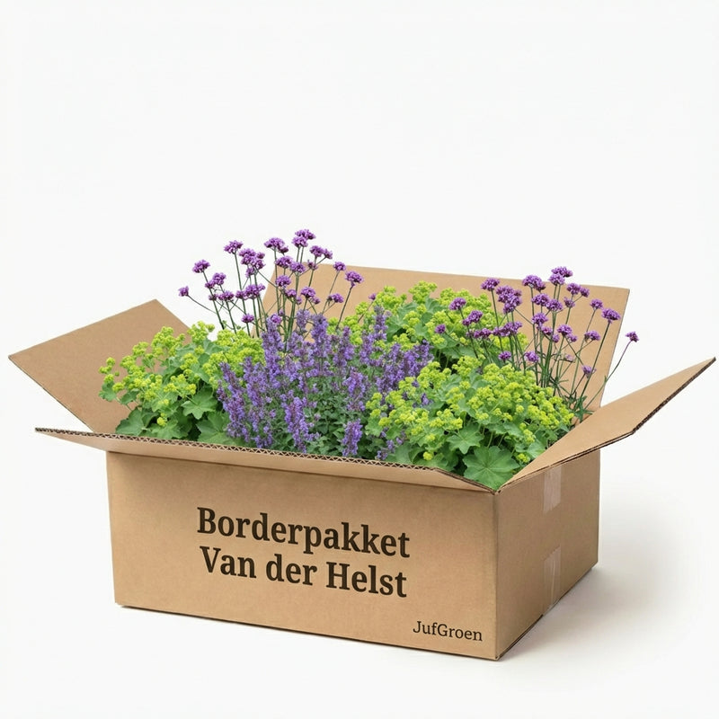 Gevelpakket Van der Helst | 3-soorten pakket