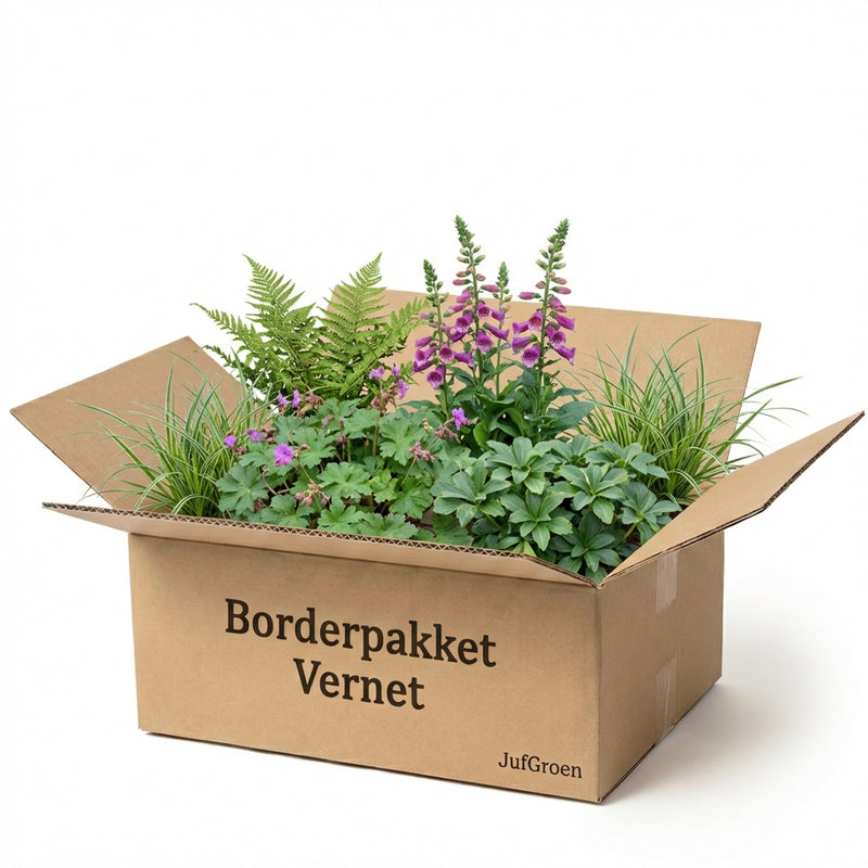 Borderpakket Vernet