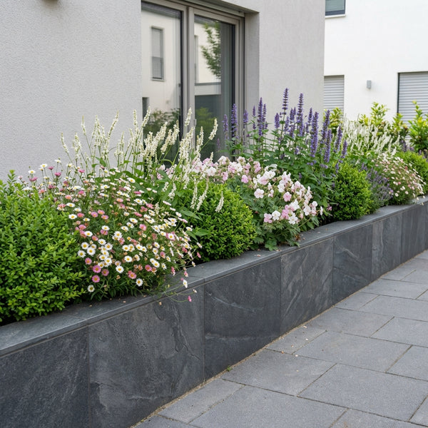 Borderpakket Willink