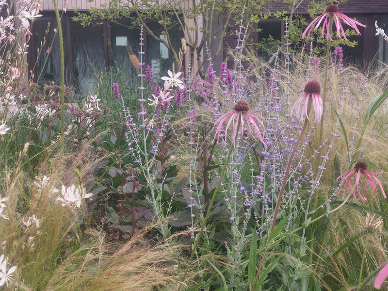 Elke plant verdient zijn plek