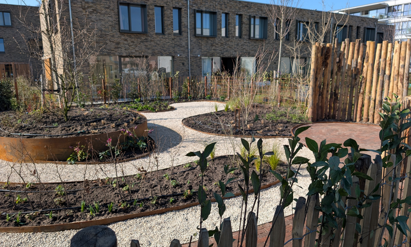 De kracht van eenvoud