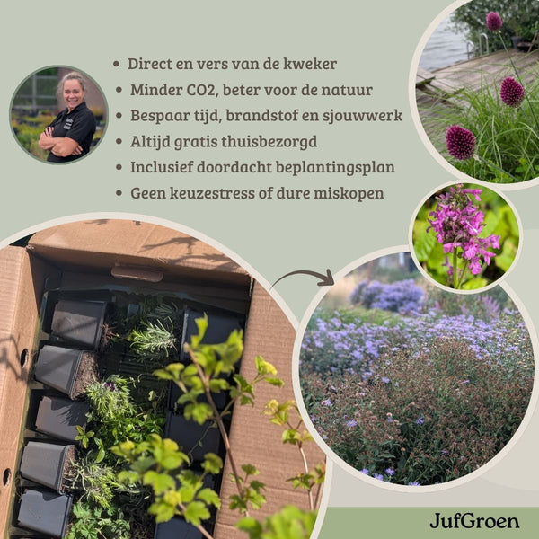 Borderpakket Claesz. | 3-soorten pakket