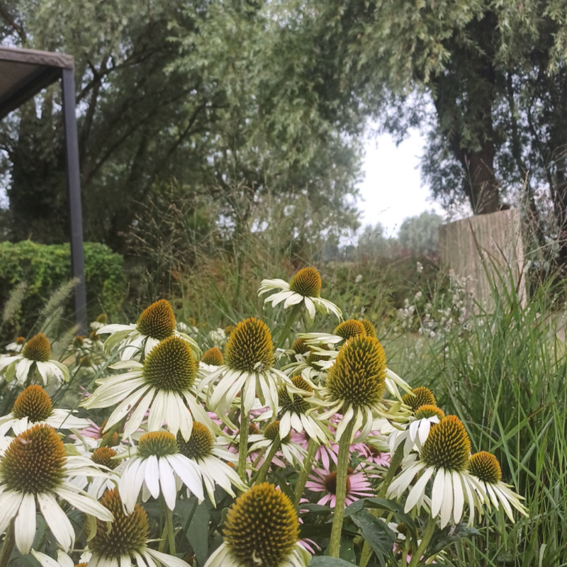 Een mooie tuin moet voor iedereen kunnen