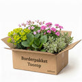 Borderpakket Toorop