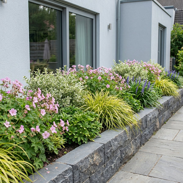 Borderpakket Vermeer