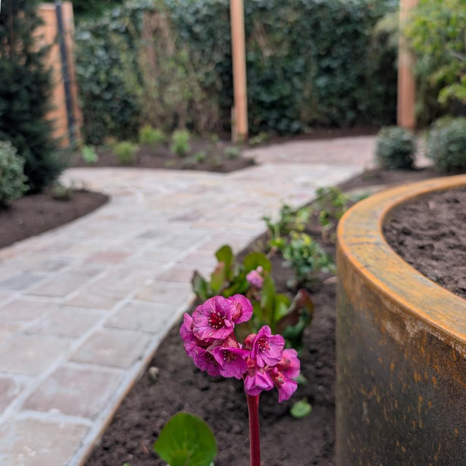 Bemesten van je tuin nodig?