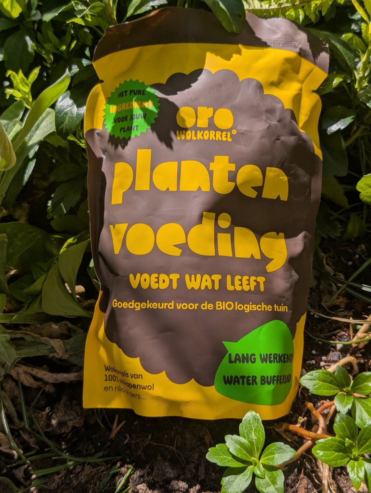 Oro Wolkorrel 100% bio voeding