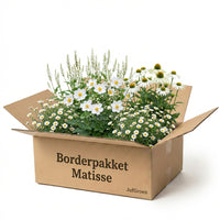 Verpakking — Borderpakket Matisse