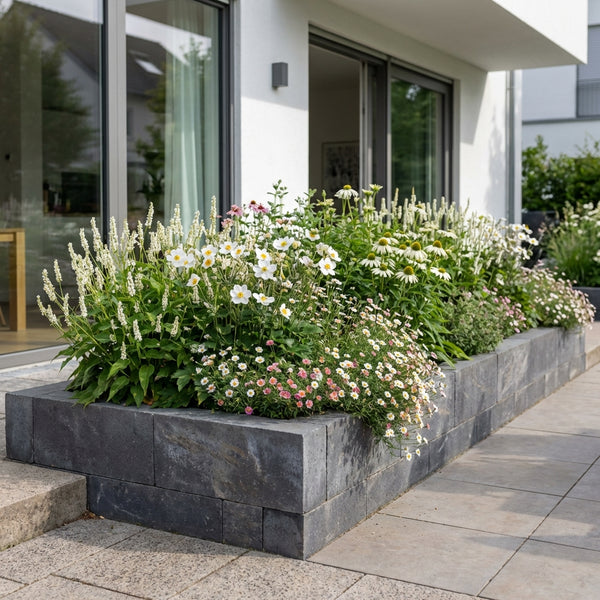 Borderpakket Matisse