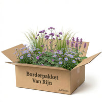 Verpakking — Borderpakket Van Rijn