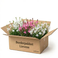 Verpakking — Gevelpakket Lievens | 3-planten pakket