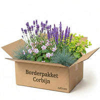 Verpakking — Borderpakket Corbijn