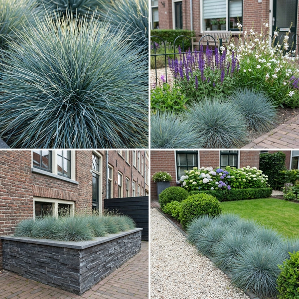 Borderpakket Corbijn