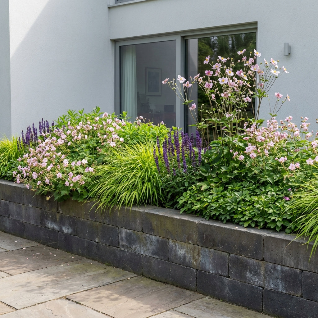 Borderpakket Asselijn