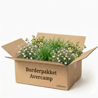 Verpakking — Balkonpakket Avercamp