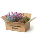 Balkonpakket Bilders