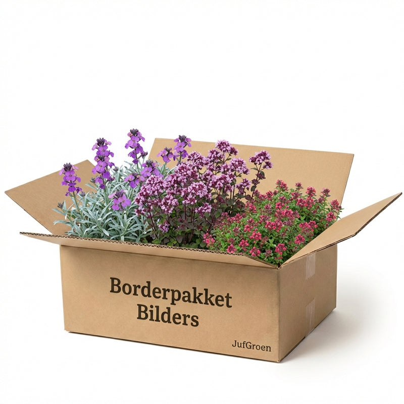 Balkonpakket Bilders