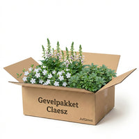 Verpakking — Gevelpakket Claesz. | 3-planten pakket