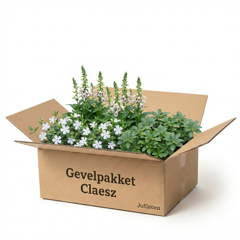 Gevelpakket Claesz. | 3-planten pakket