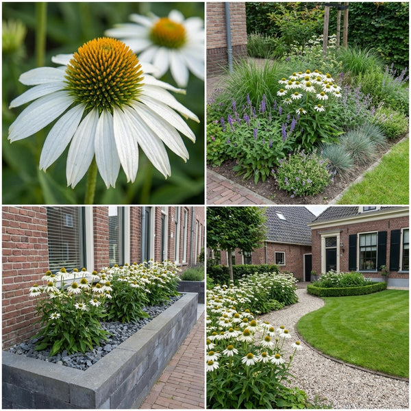 Borderpakket De Ruyter