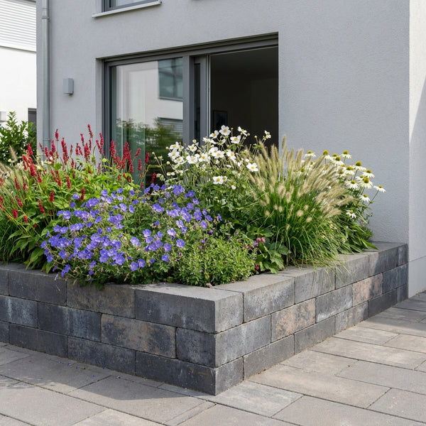 Borderpakket De Ruyter