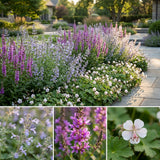 Gevelpakket Gauguin | 3-planten pakket
