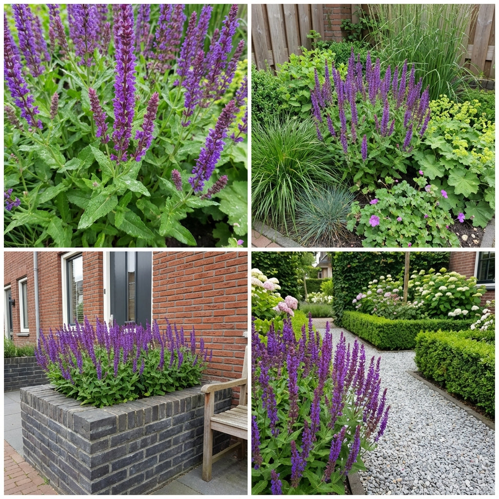 Gevelpakket Gauguin | 3-planten pakket