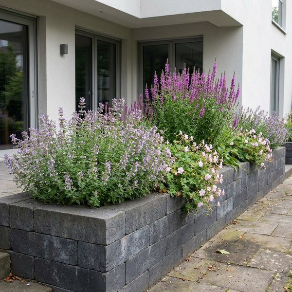 Gevelpakket Gauguin | 3-planten pakket