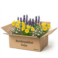 Gevelpakket Goya | 3 planten pakket