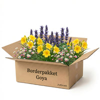 Verpakking — Gevelpakket Goya | 3 planten pakket