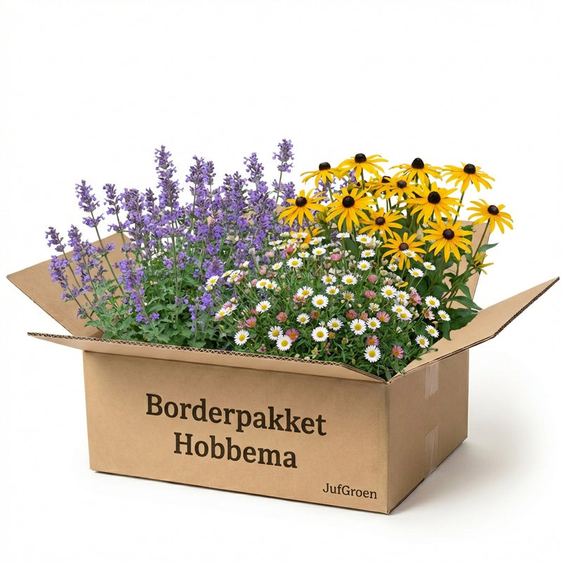 Gevelpakket Hobbema | 3-planten pakket