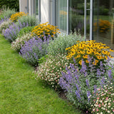 Gevelpakket Hobbema | 3-planten pakket