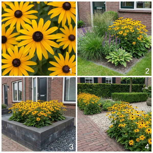 Gevelpakket Hobbema | 3-planten pakket
