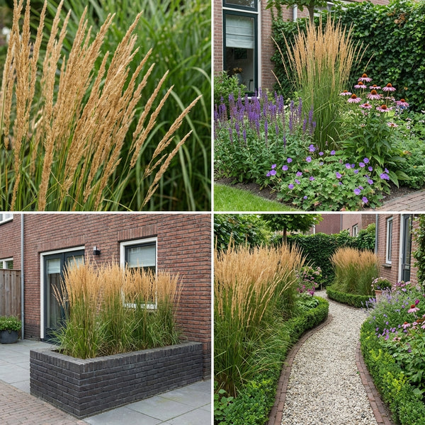 Borderpakket Huisman