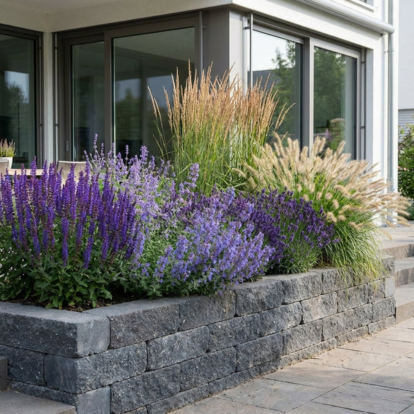 Borderpakket Huisman