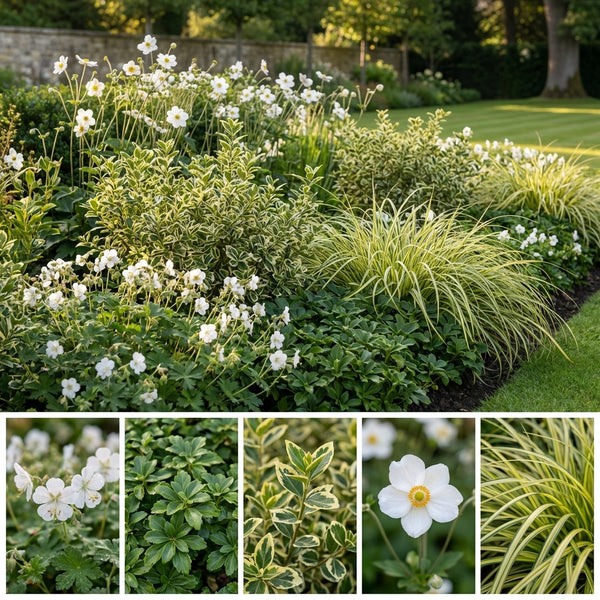 Borderpakket Israels